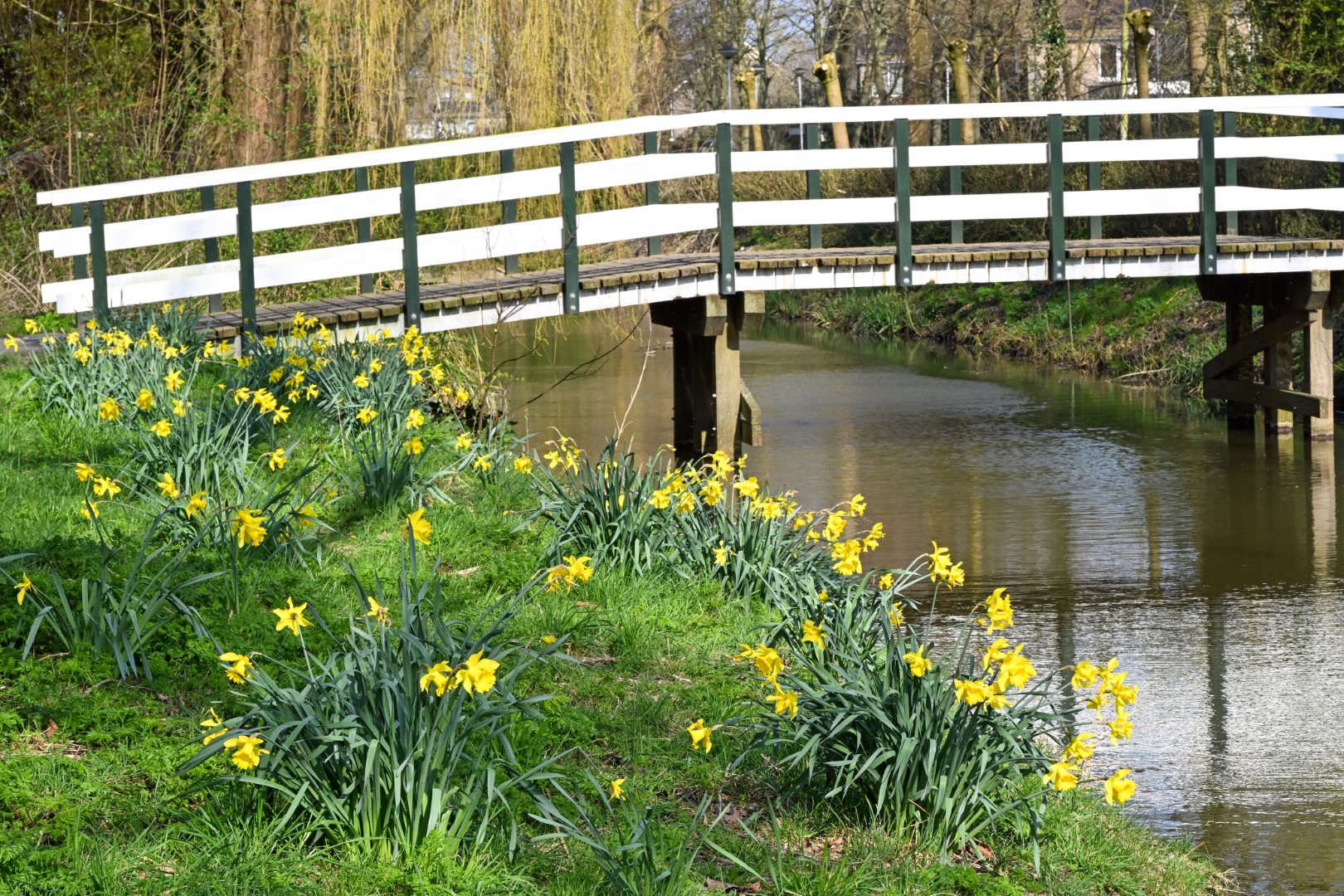 Inloopbijeenkomst Omgevingsprogramma op 10 februari