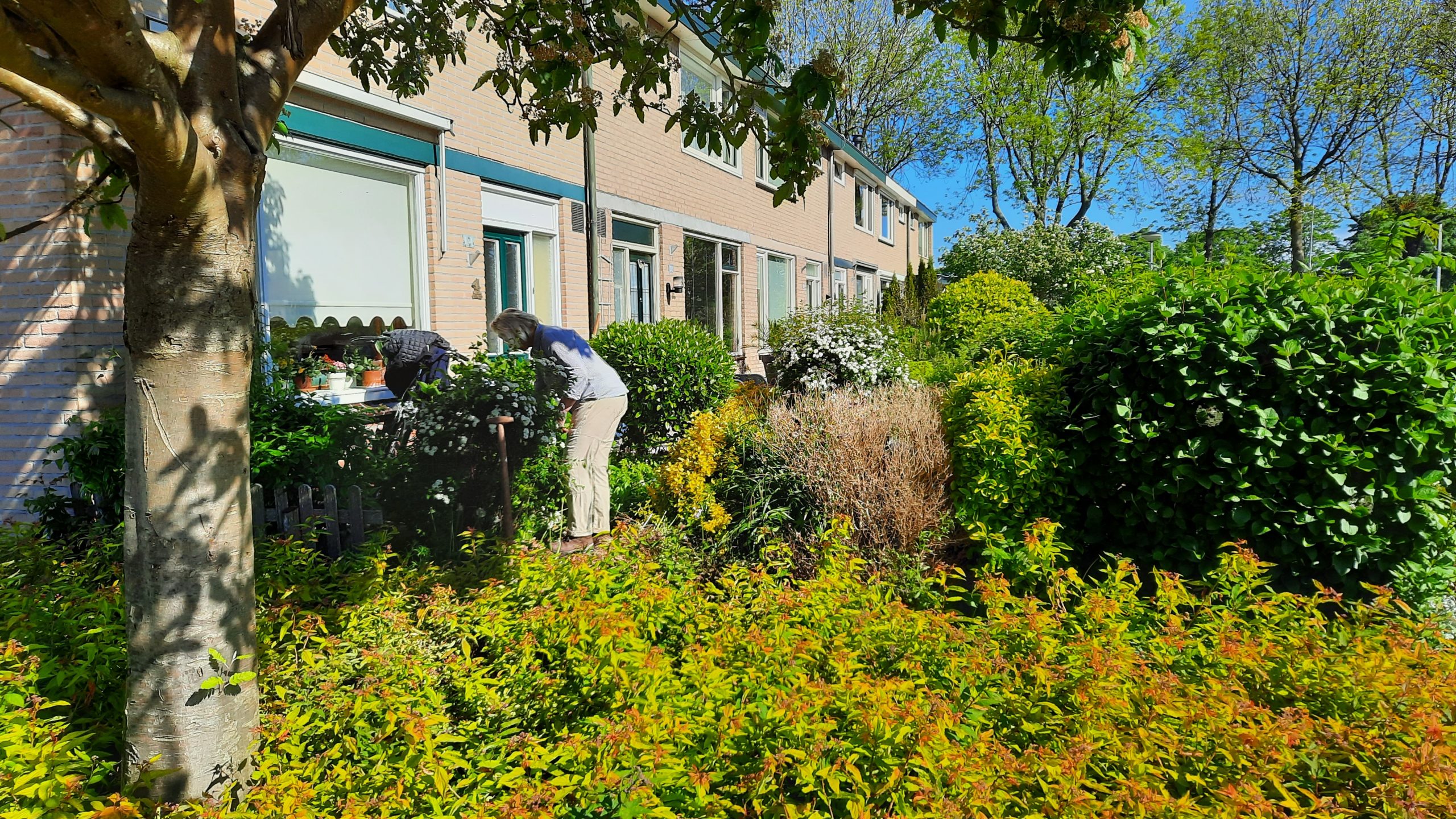 Hoe gaat u om biodiversiteit in uw leefomgeving?