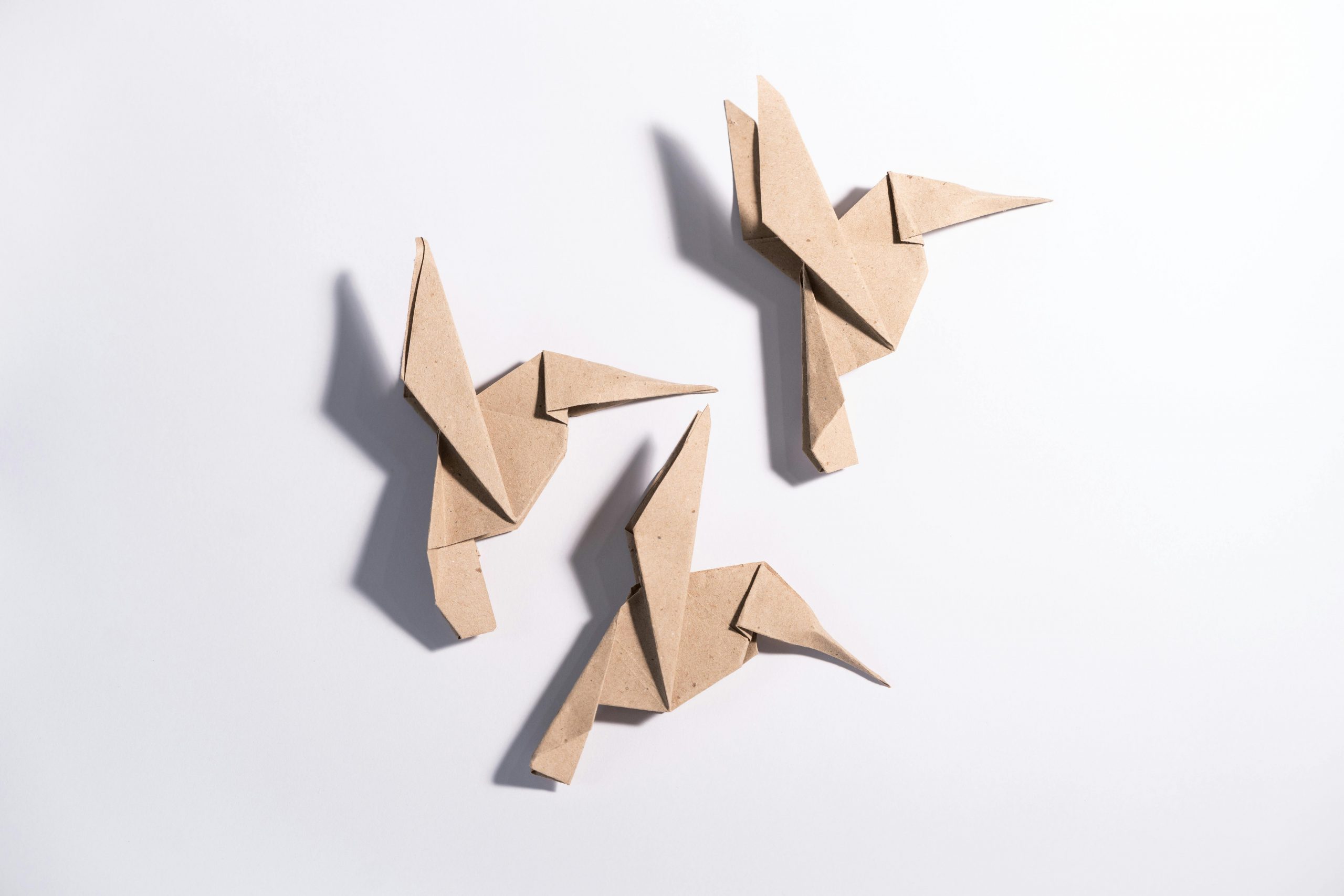 Papercraft workshop bij buurthuis IJsselzand